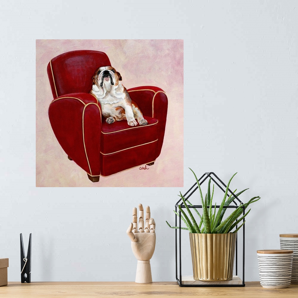A bohemian room featuring Bulldog on Red