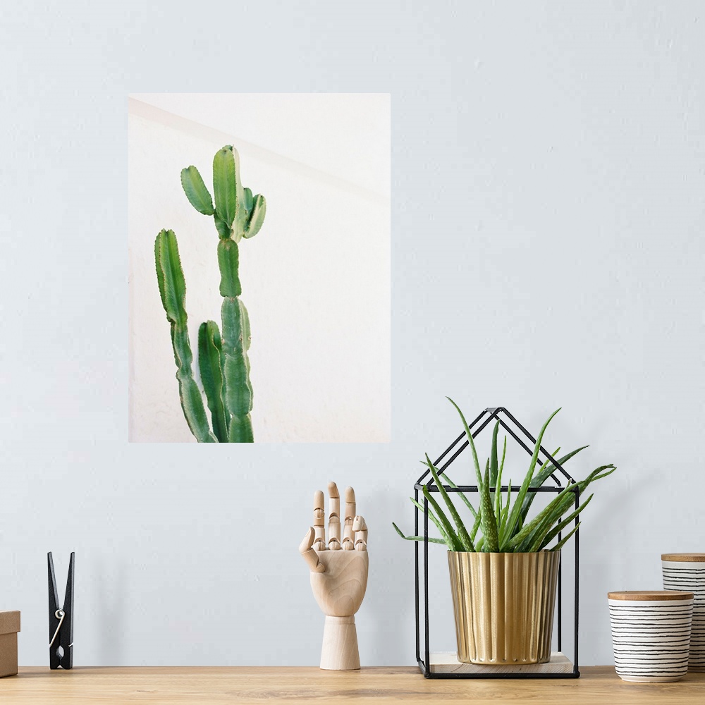 A bohemian room featuring Photograph of a tall cactus against a white wall.