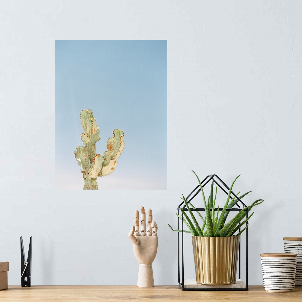A bohemian room featuring Photograph of a cactus against a bright blue sky.
