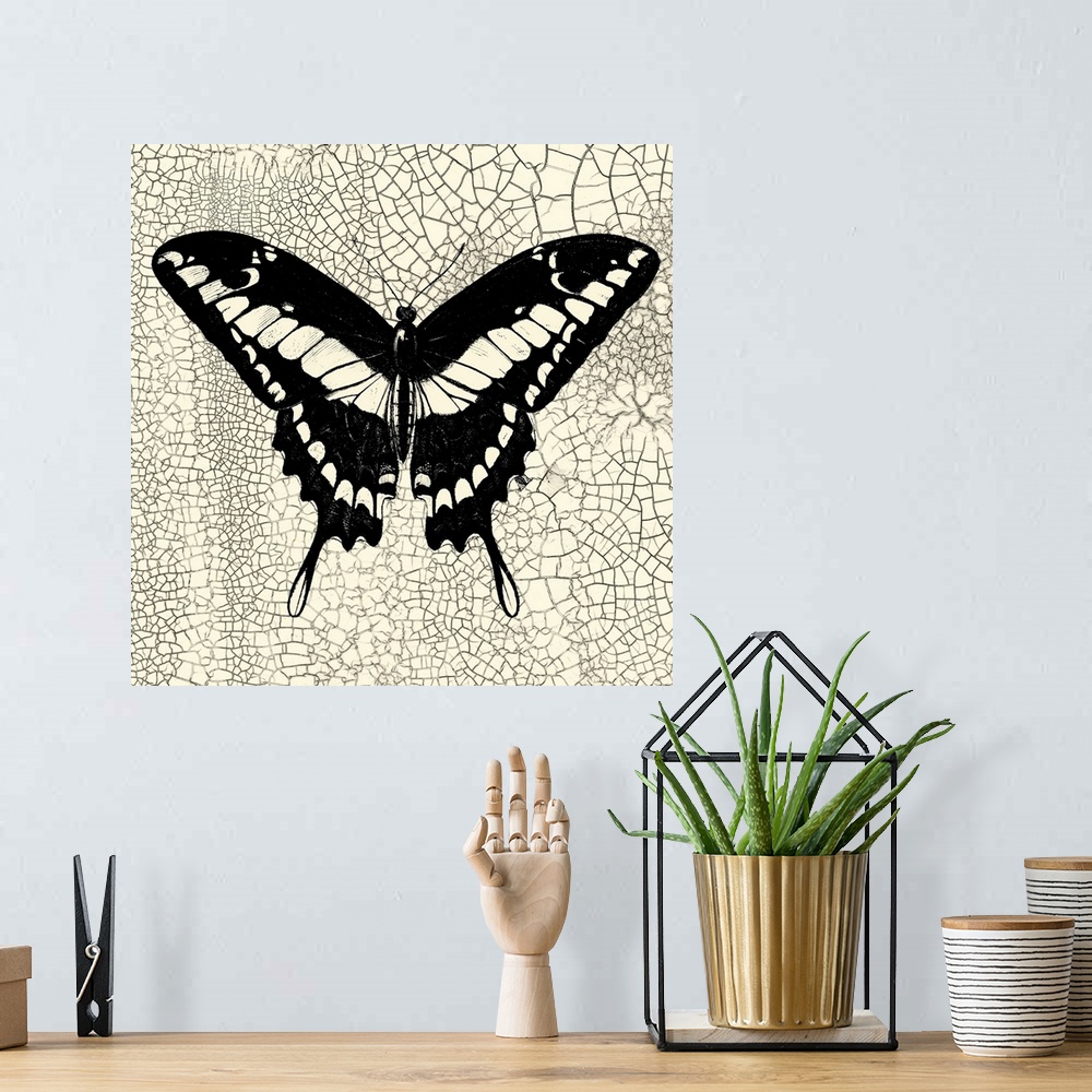 A bohemian room featuring Classical Butterfly IV