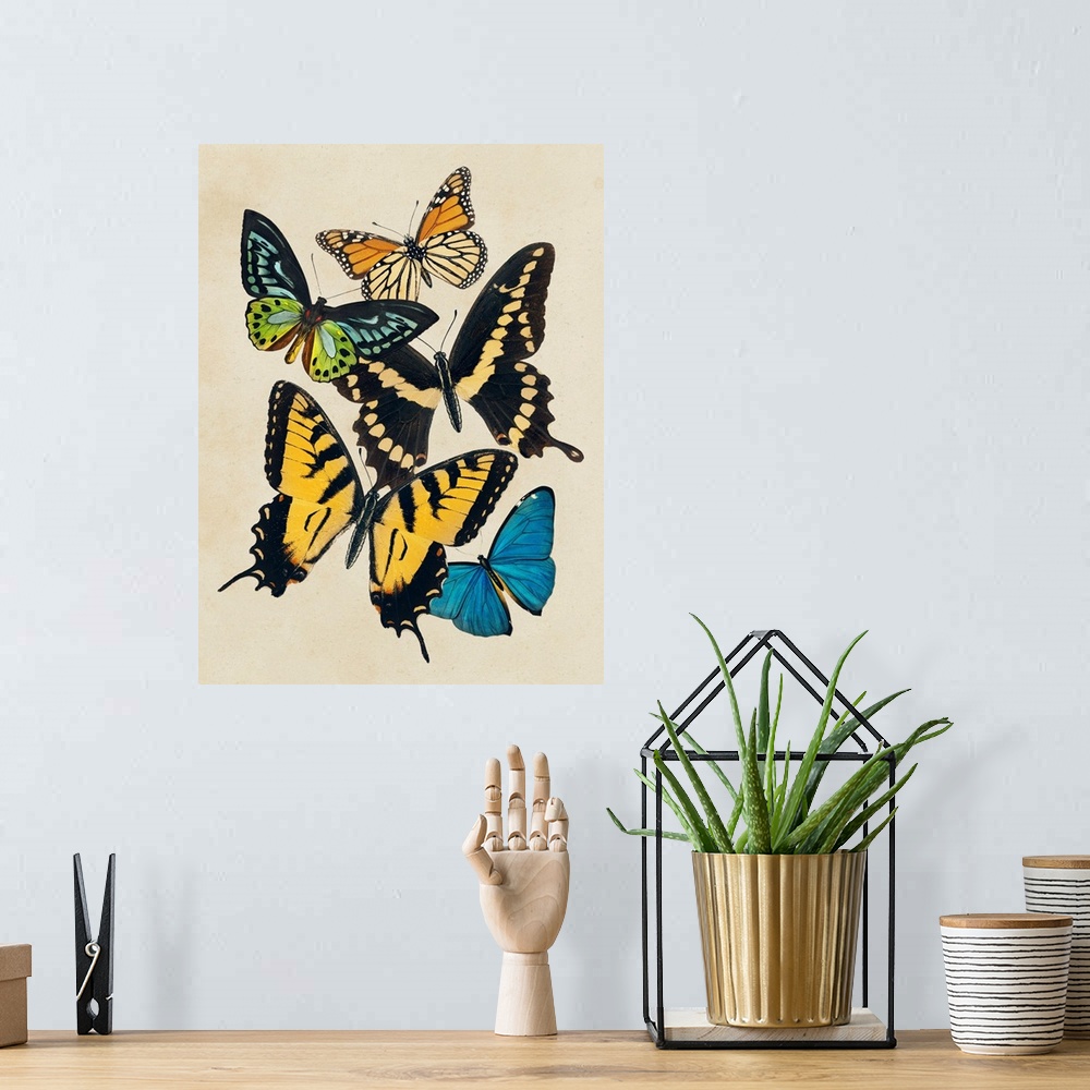 A bohemian room featuring Collaged Butterflies II