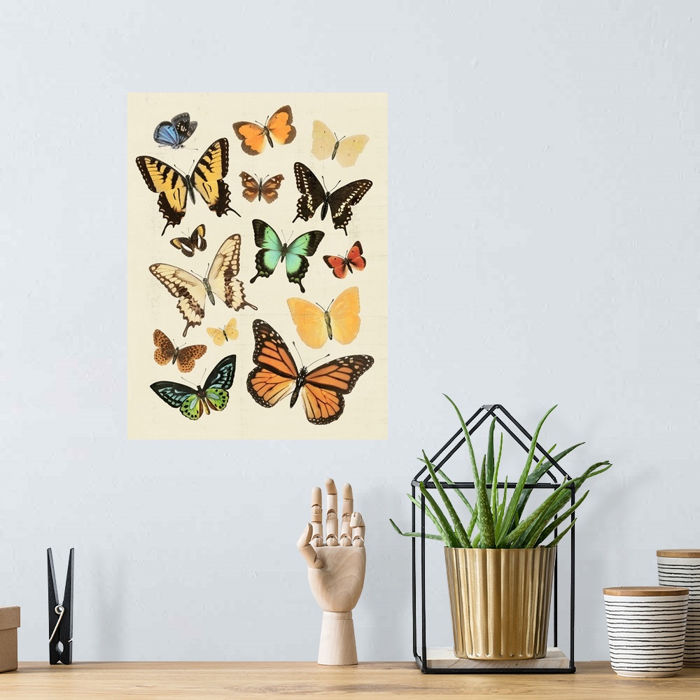 A bohemian room featuring Collected Flutter I