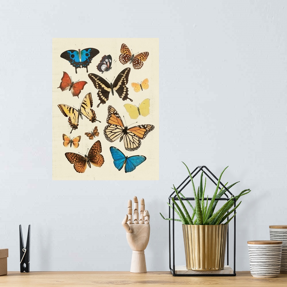 A bohemian room featuring Collected Flutter II