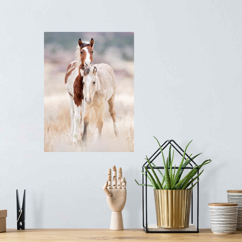 A bohemian room featuring Collection Of Horses X