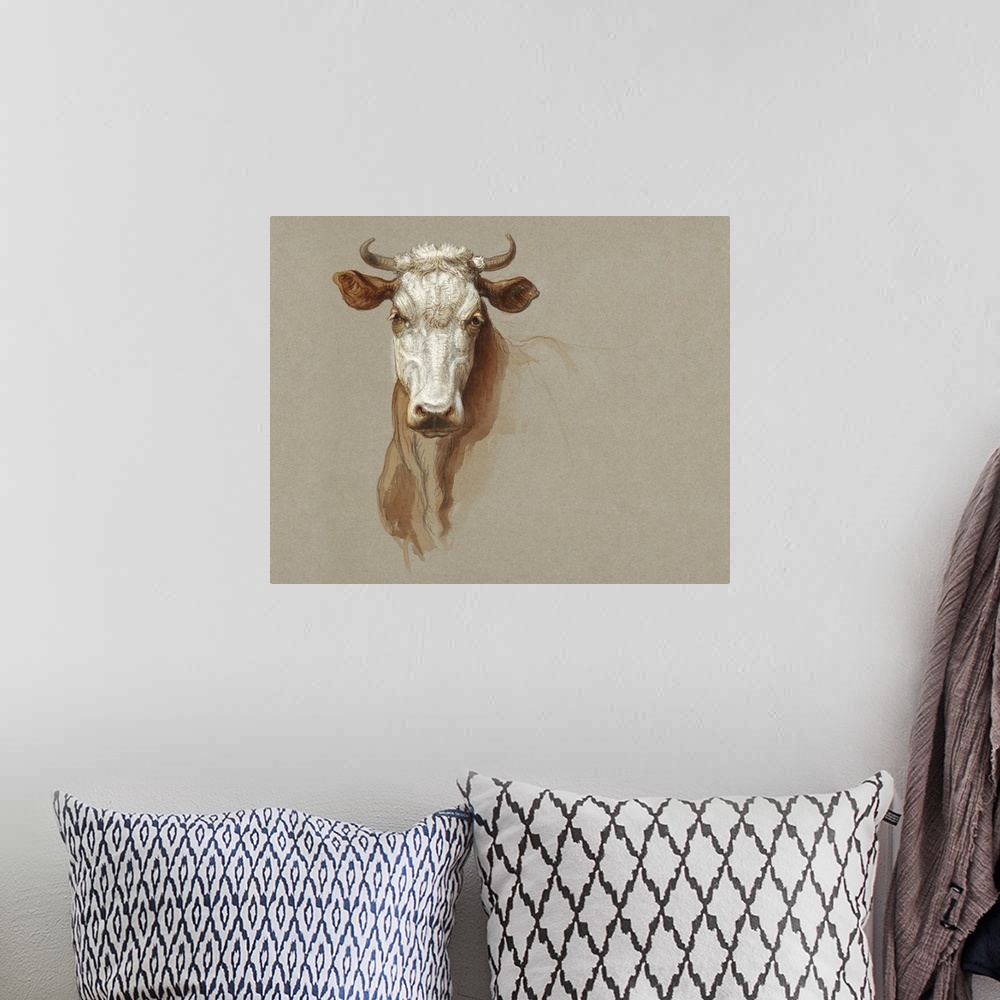 A bohemian room featuring Colman Cow Portrait Study I