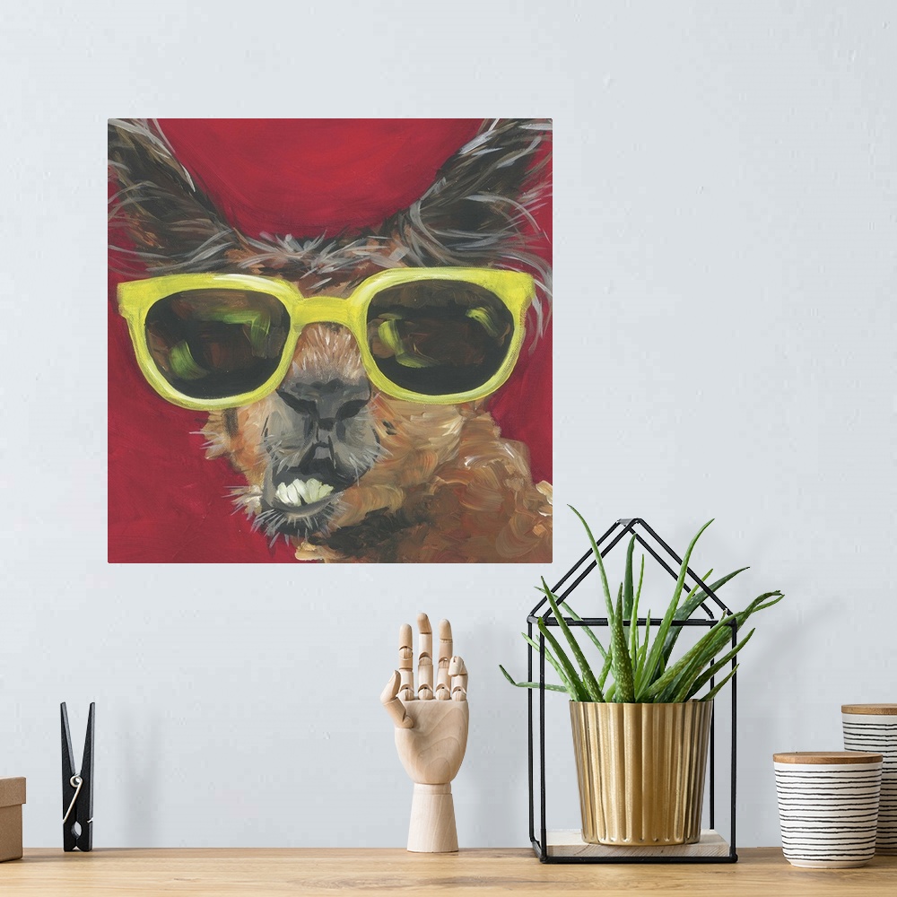 A bohemian room featuring A engaging portrait of a llama wearing yellow sunglasses on a red background.