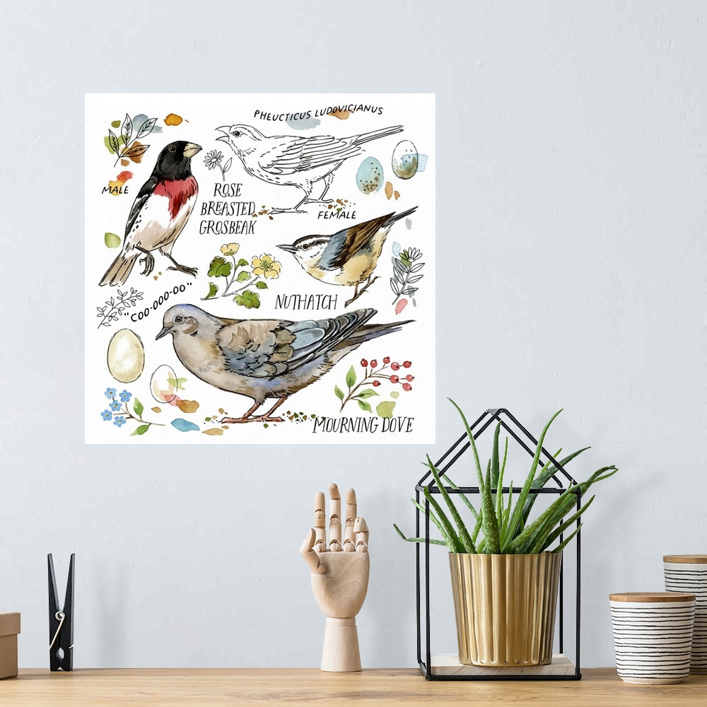 A bohemian room featuring Drawn To Birds V