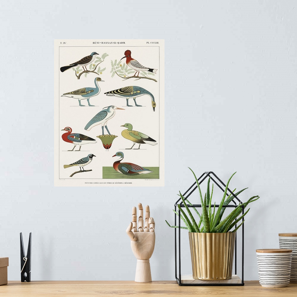 A bohemian room featuring Egyptian Bird Charts I