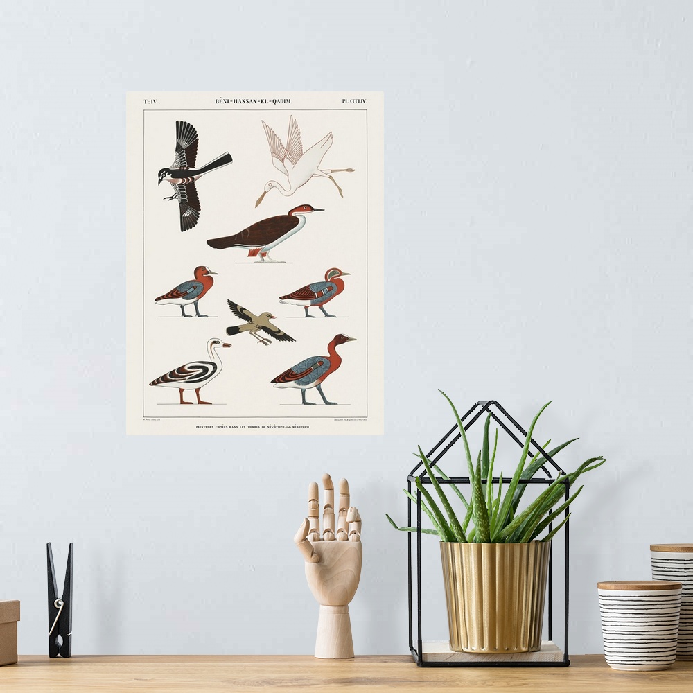 A bohemian room featuring Egyptian Bird Charts IV