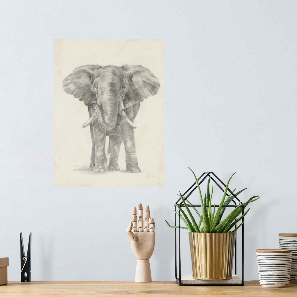 A bohemian room featuring Pencil drawing of an elephant on a parchment background.