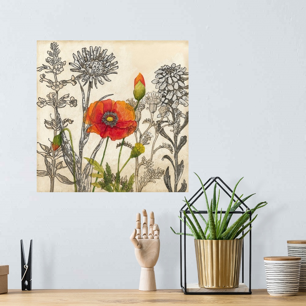 A bohemian room featuring Emerging Poppy