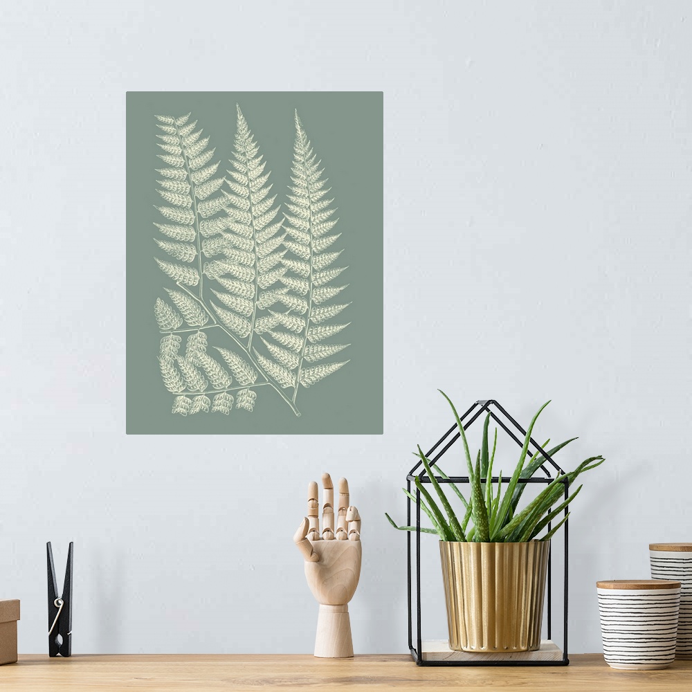 A bohemian room featuring Ferns on Sage III