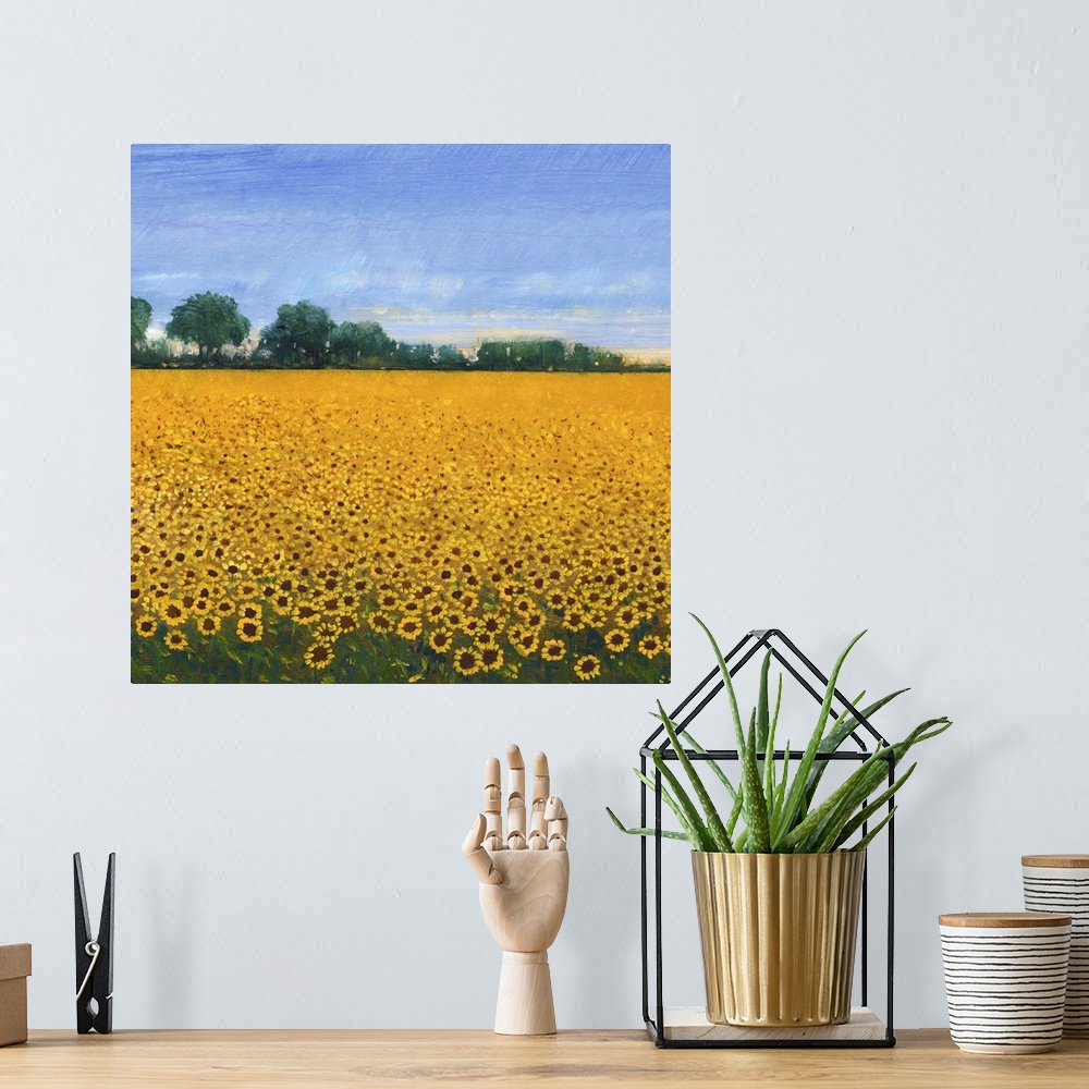 A bohemian room featuring Contemporary painting of a field of yellow sunflowers under a blue sky.