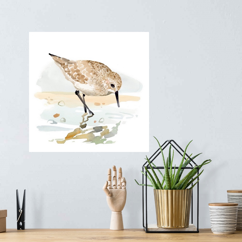 A bohemian room featuring Freckled Sandpiper II