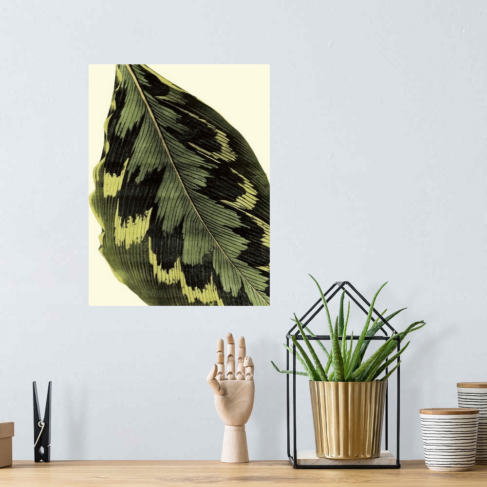 A bohemian room featuring Contemporary botanical illustration of a leaf in a vintage style.