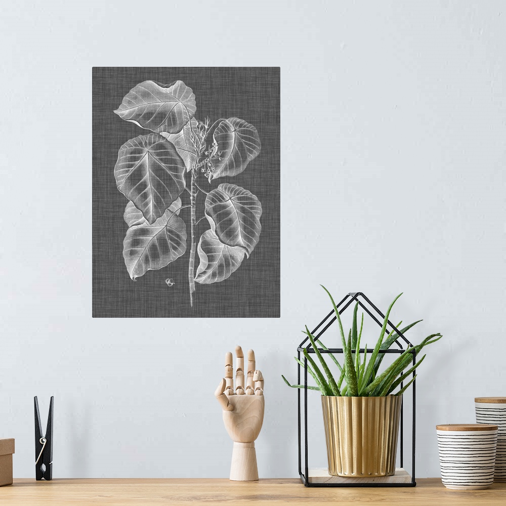 A bohemian room featuring Black, white, and gray illustrated foliage on a vertical background.