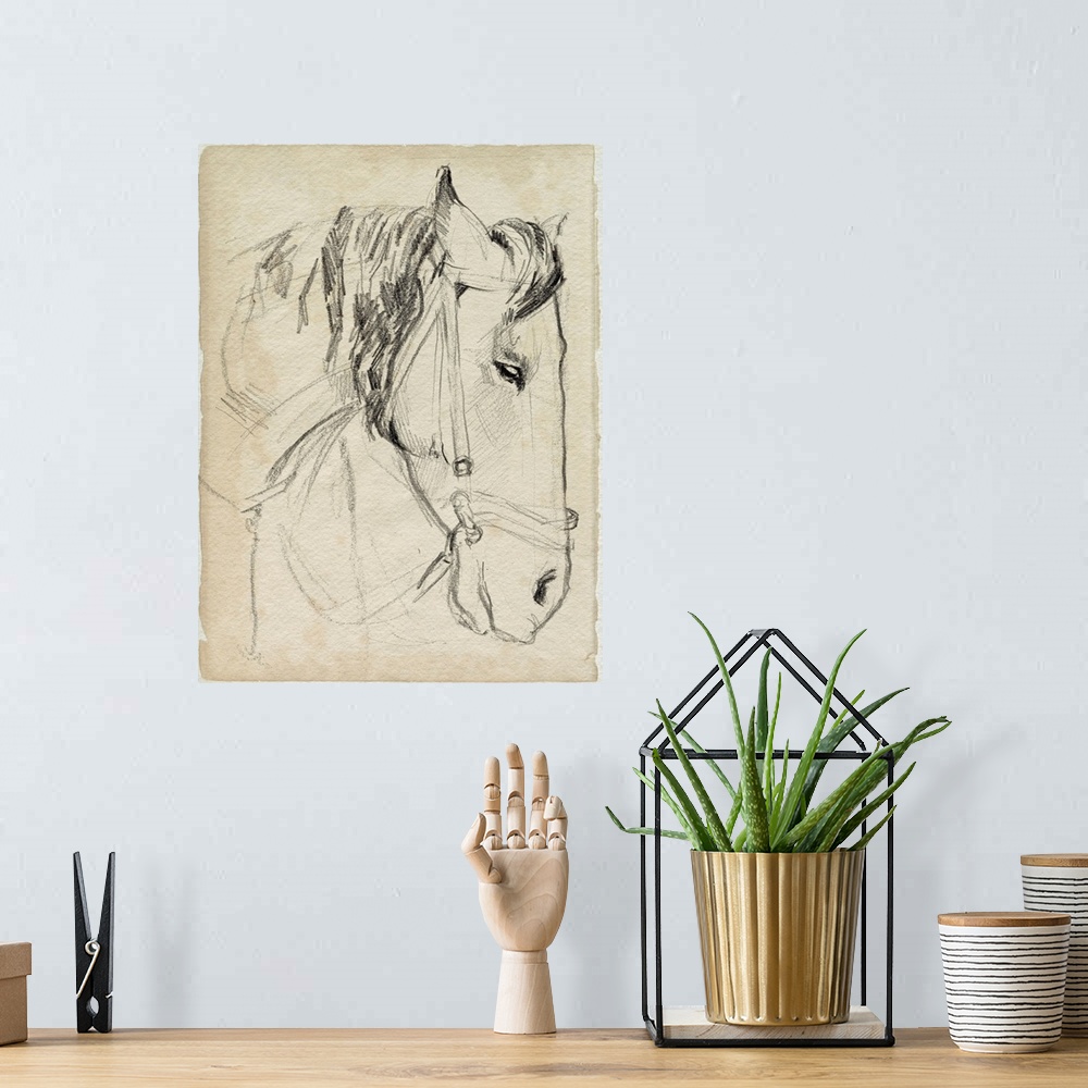 A bohemian room featuring Horse In Bridle Sketch I