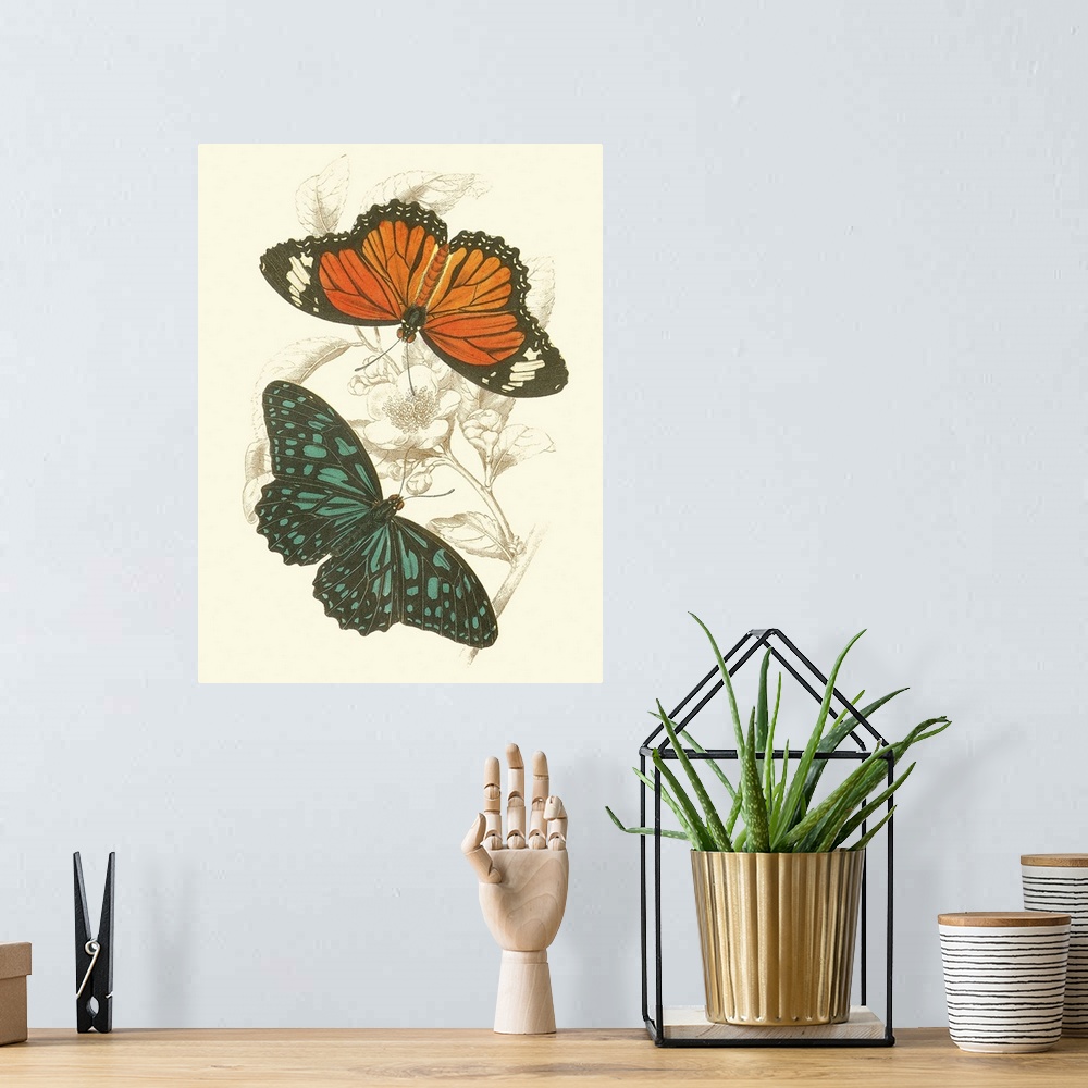 A bohemian room featuring Jardine Butterflies II