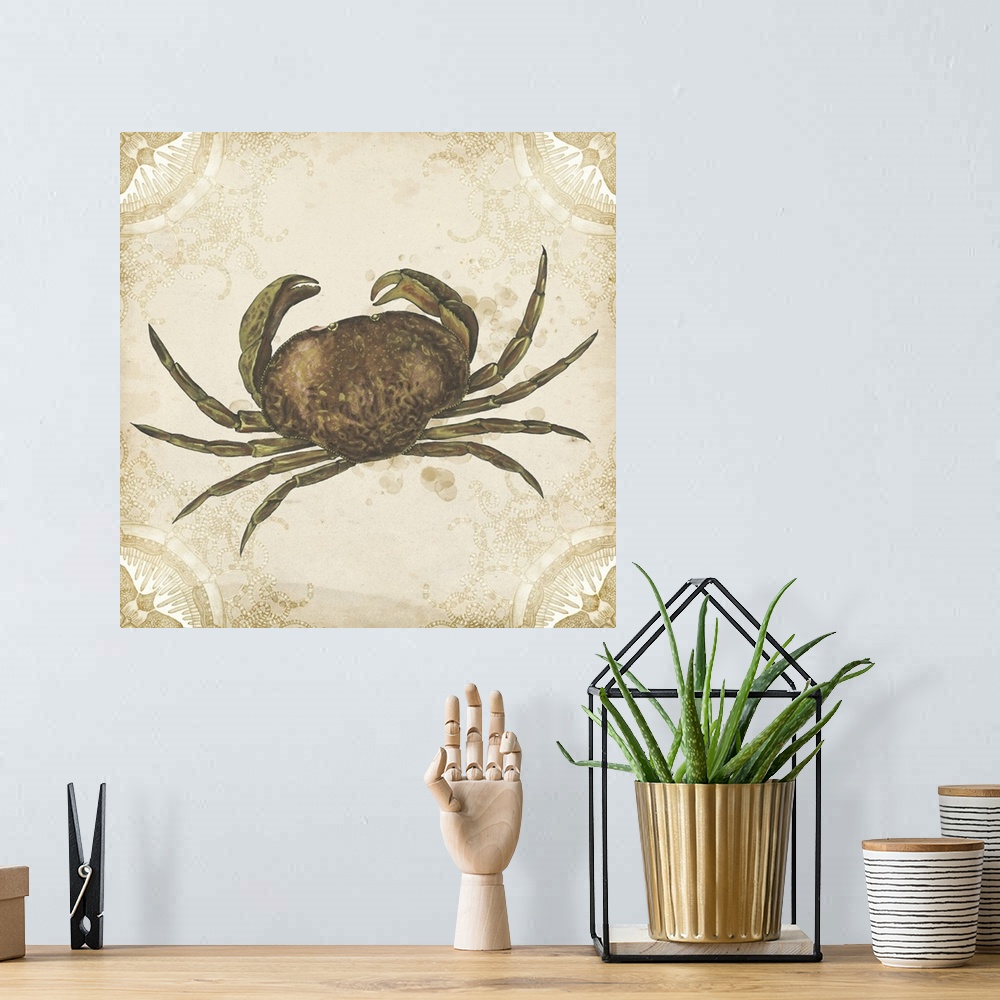 A bohemian room featuring Picture of a shellfish on a beige backdrop with a curved shape design in each corner.