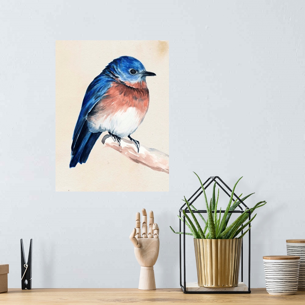 A bohemian room featuring Contemporary artwork of a garden bird perched on a branch against a neutral background.