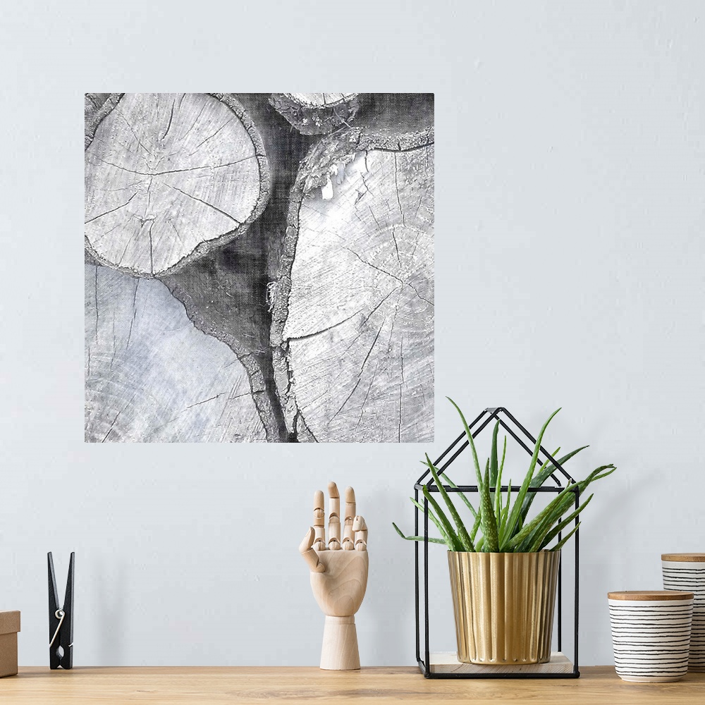 A bohemian room featuring Abstract artwork in grey shades made from cross sections of tree trunks.