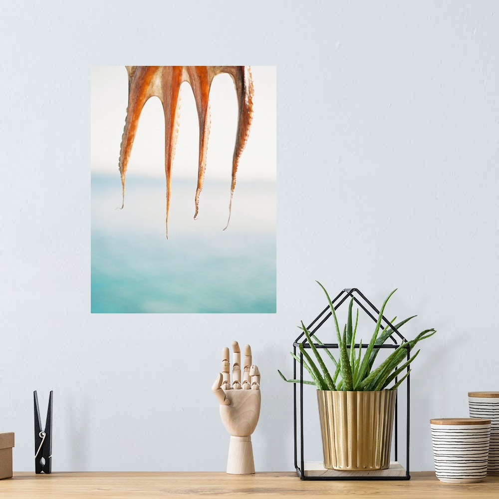 A bohemian room featuring Photograph of squid hanging to dry, Santorini, Greece.