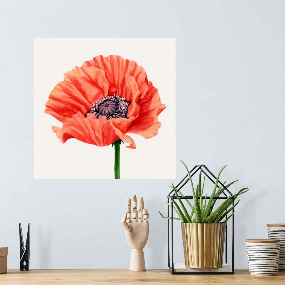 A bohemian room featuring Magnified Poppy I