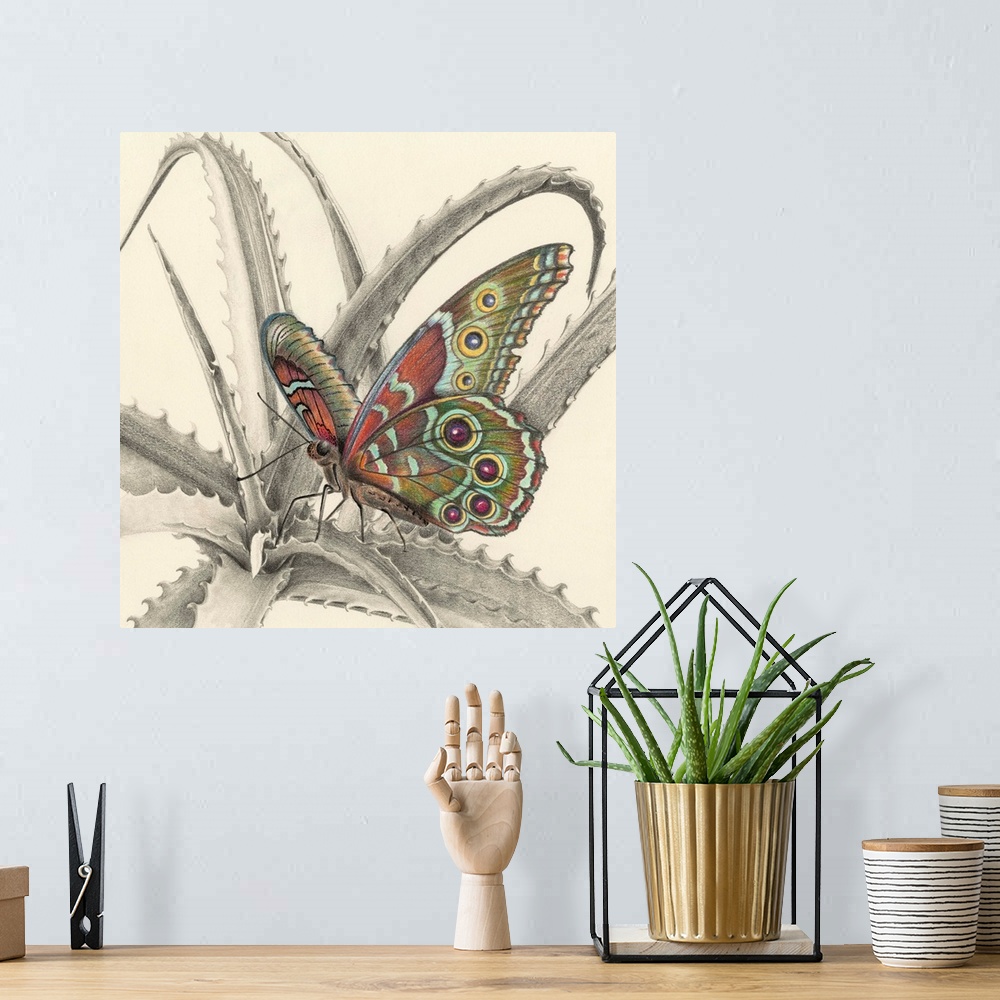 A bohemian room featuring Majestic Butterfly III