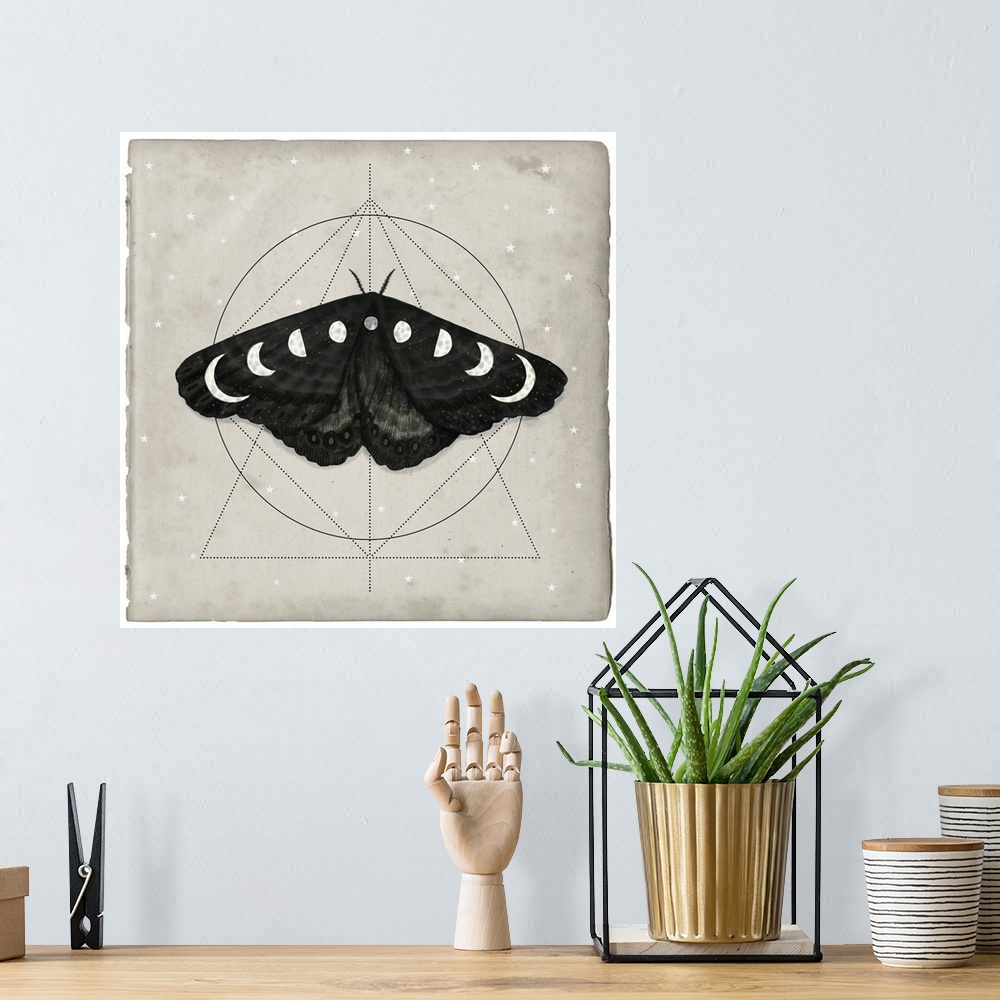 A bohemian room featuring Watercolor moth with moon shapes on its wings in front of geometric shapes on a tan background.