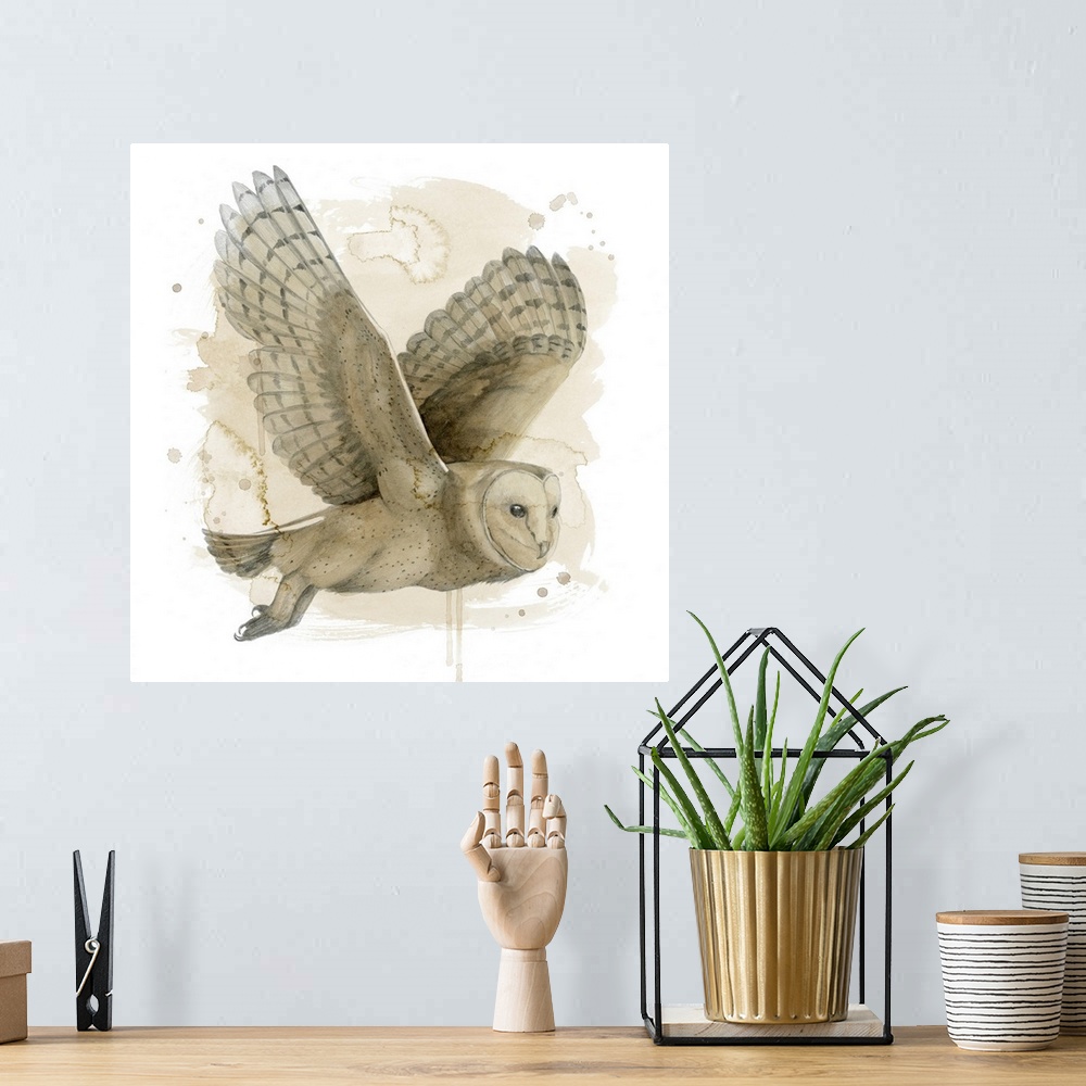 A bohemian room featuring Contemporary watercolor portrait of an owl in flight.