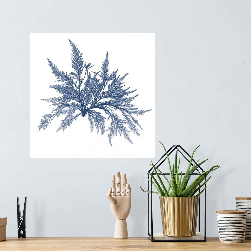 A bohemian room featuring Navy Seaweed V