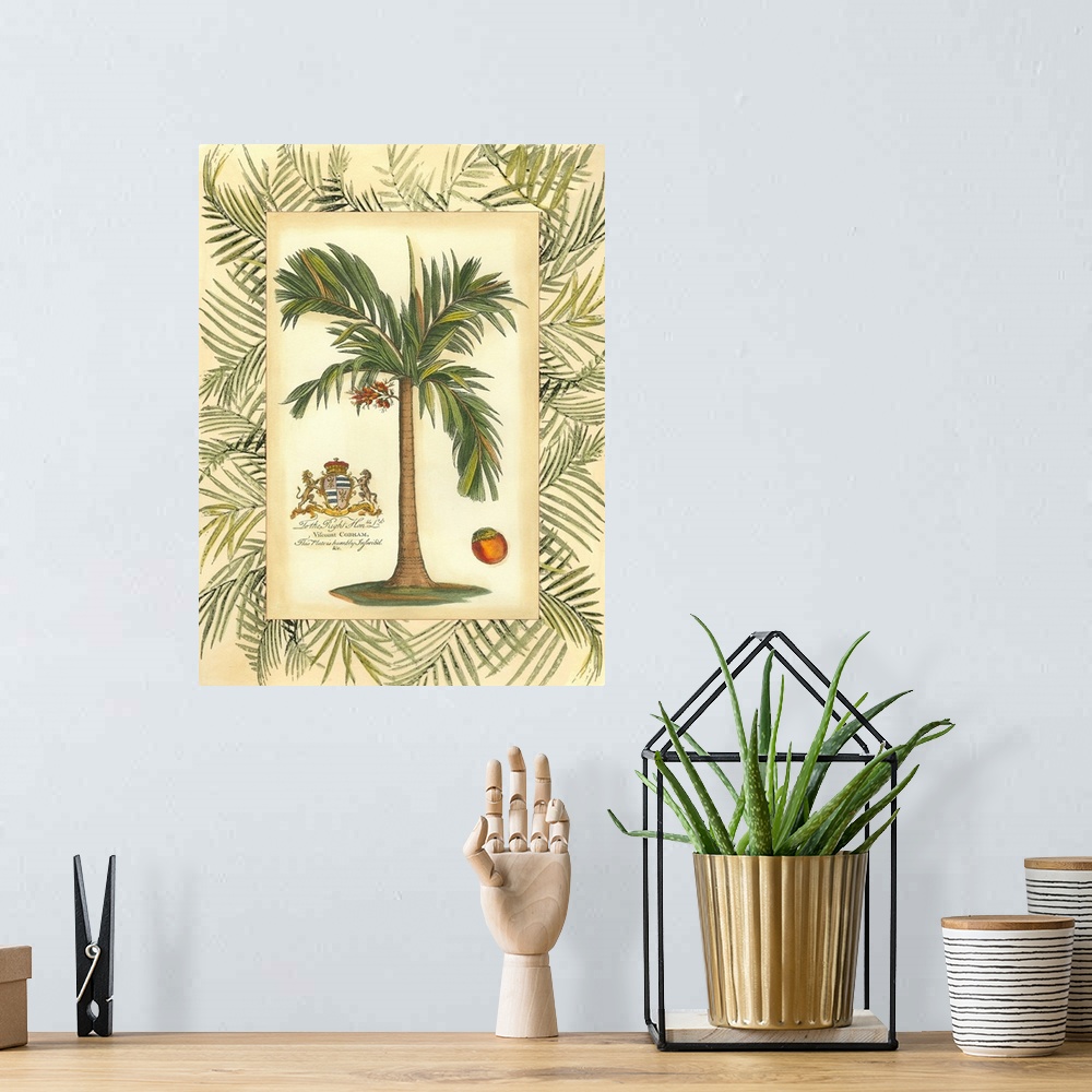 A bohemian room featuring Palm in Bamboo III