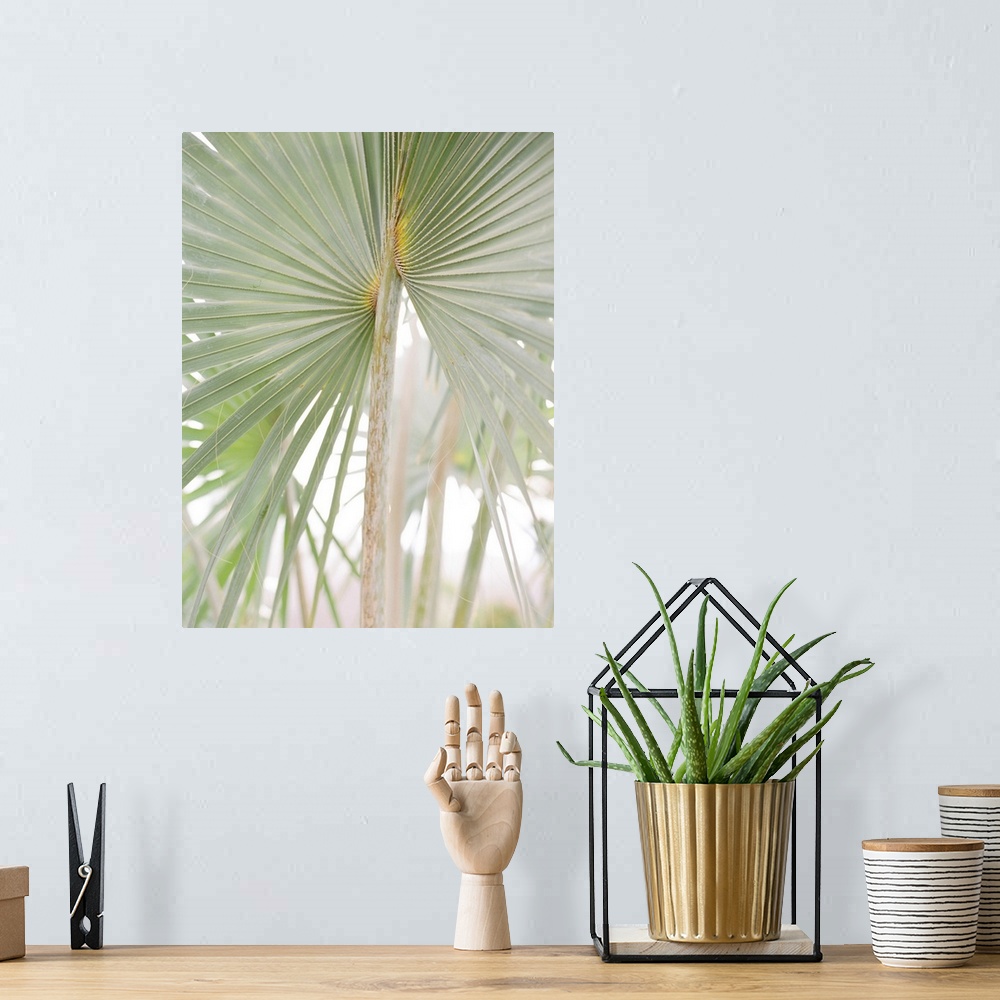 A bohemian room featuring A faded photograph of geometric palm branches.
