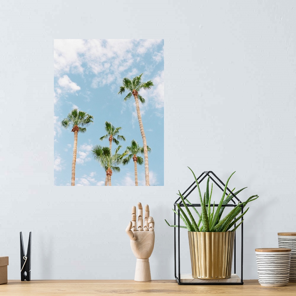 A bohemian room featuring Photograph of tall palm trees against a light blue sky with scant clouds.