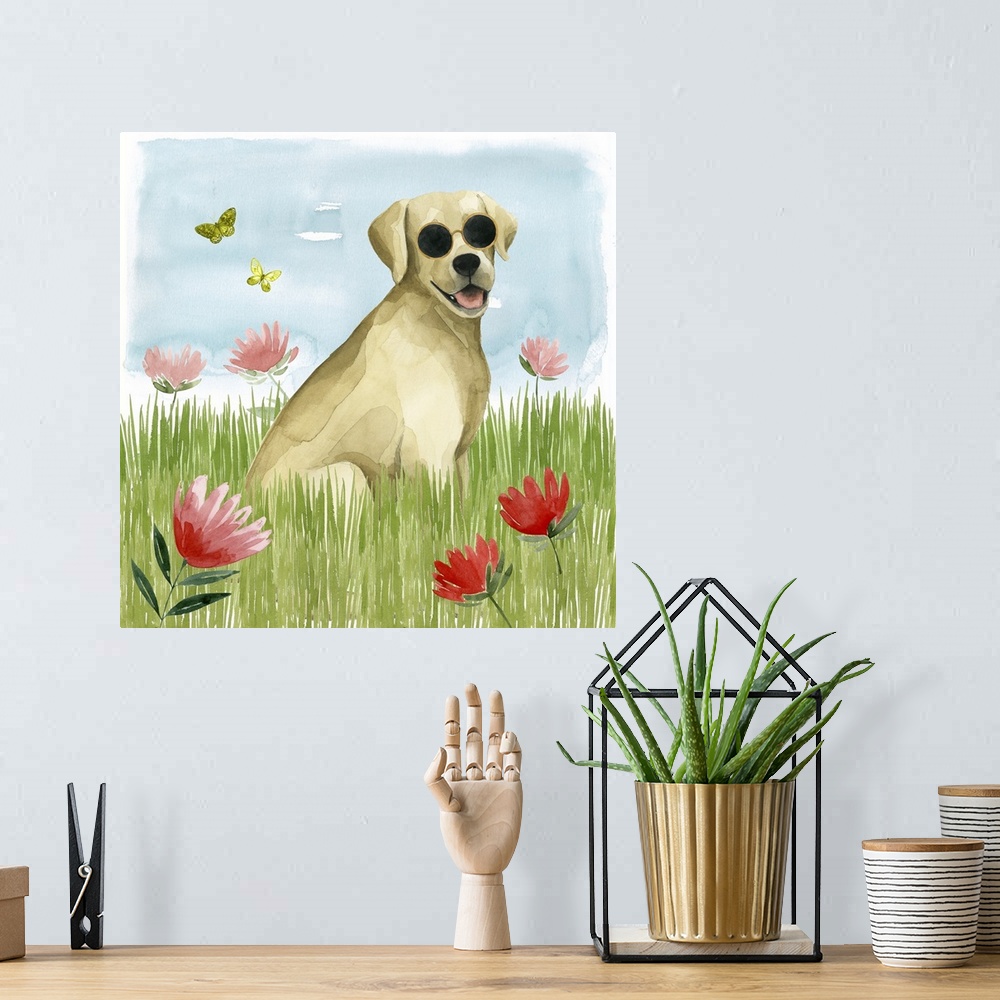 A bohemian room featuring Park Pup II