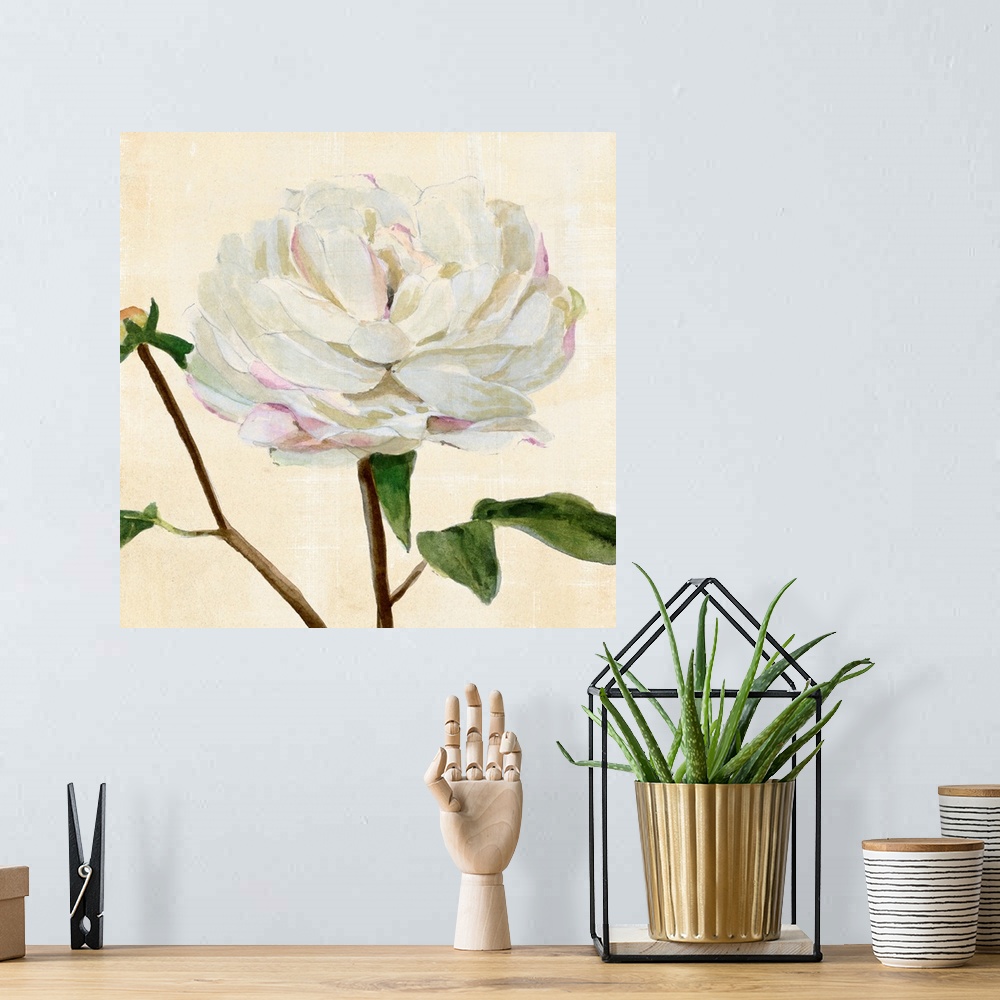 A bohemian room featuring Peony In Bloom I