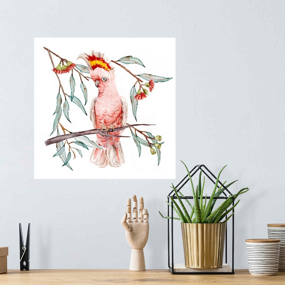 A bohemian room featuring Pink Cockatoo I