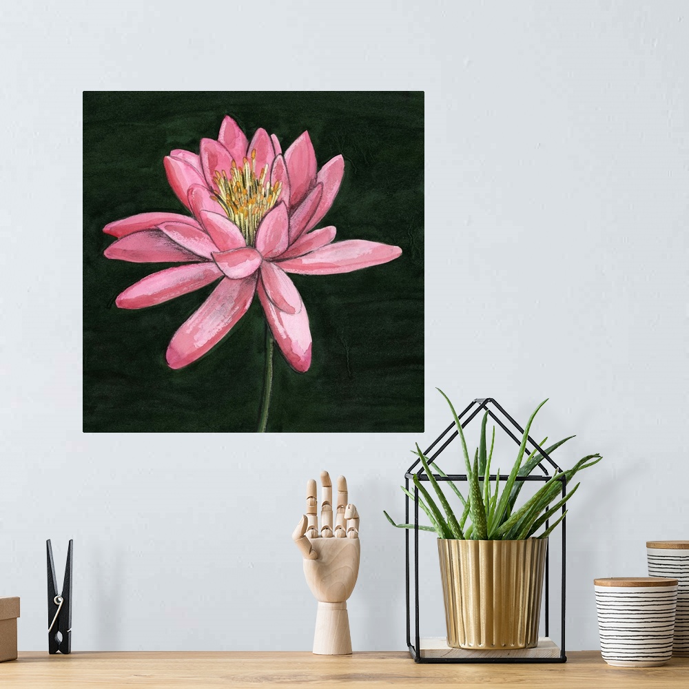 A bohemian room featuring Pink Waterlily I