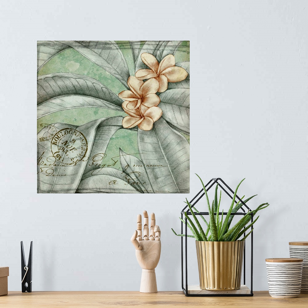 A bohemian room featuring Postmark Tropicals I