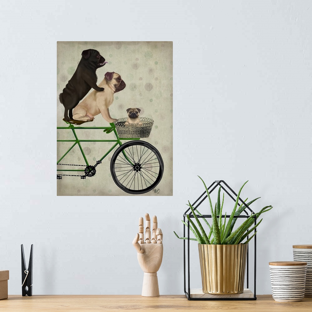 A bohemian room featuring Decorative artwork of two Pugs riding on a green bicycle with a baby pug in the basket on the front.