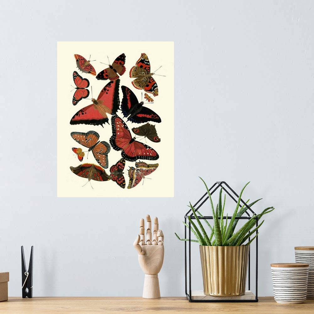 A bohemian room featuring Red Butterfly Study