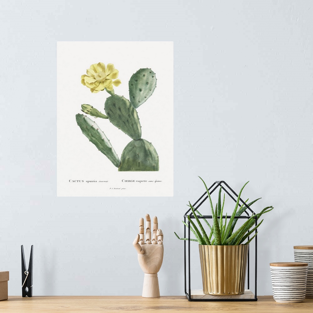 A bohemian room featuring Redoute Cactus II