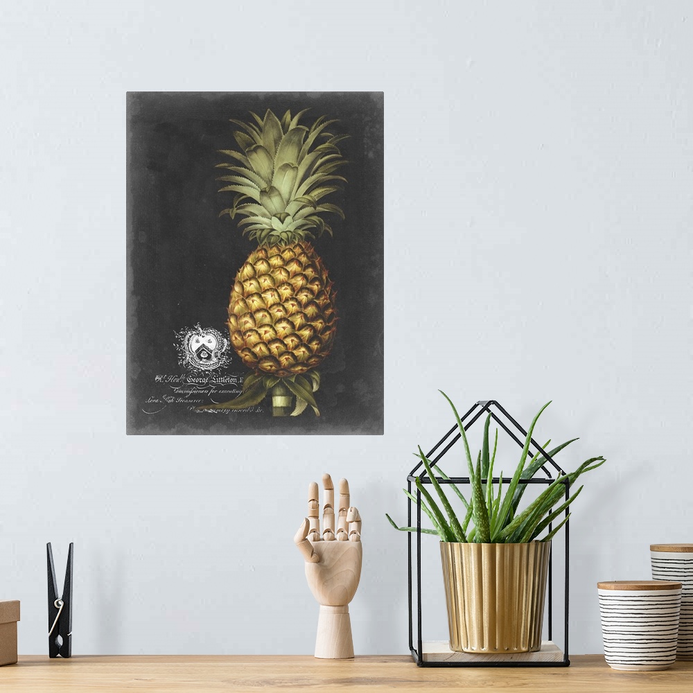 A bohemian room featuring Royal Brookshaw Pineapple I