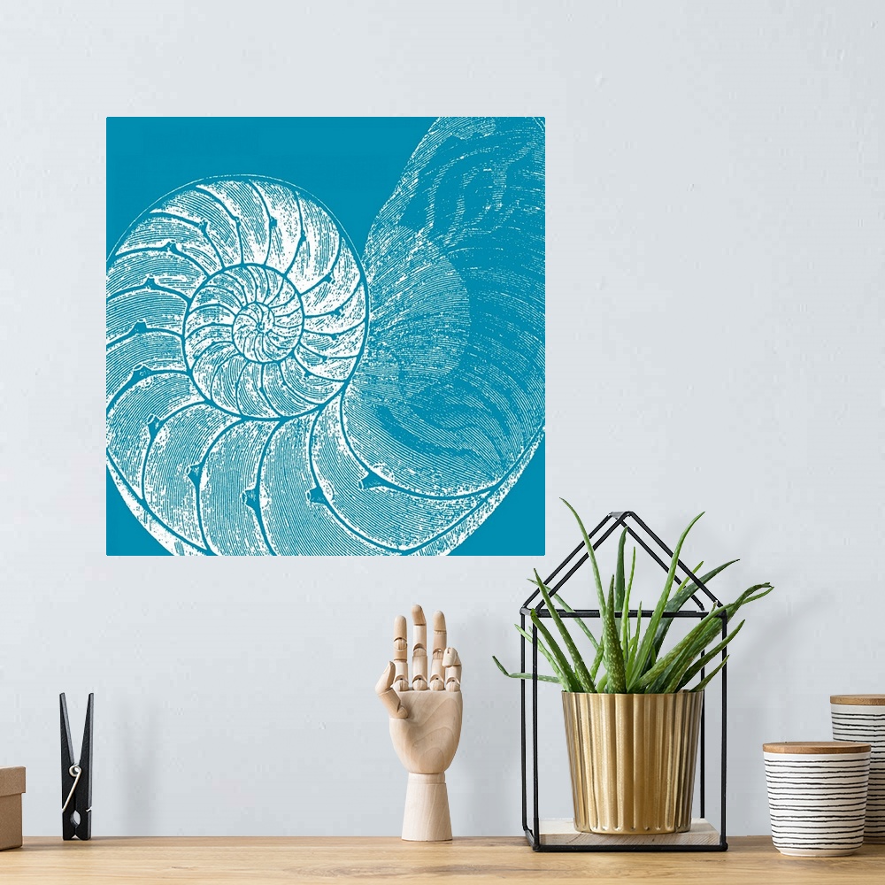 A bohemian room featuring This large square piece is a drawing of a coiled shell against a cool colored background.