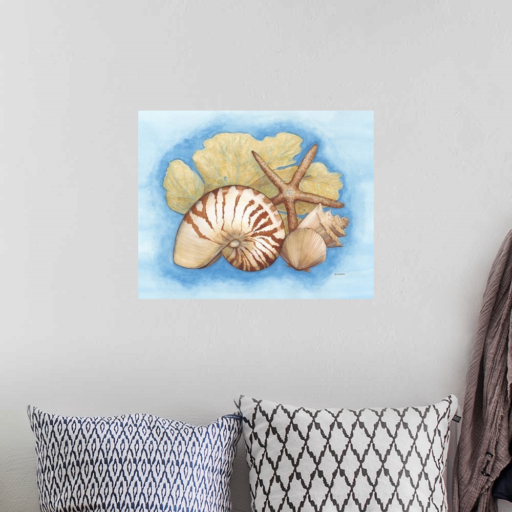 A bohemian room featuring Seashells and Seafan I