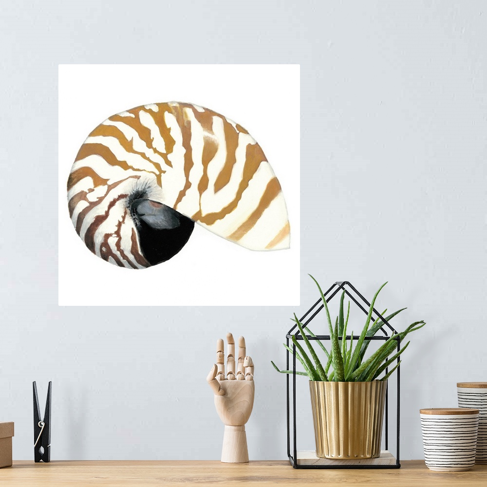 A bohemian room featuring Detailed painting of a striped seashell.