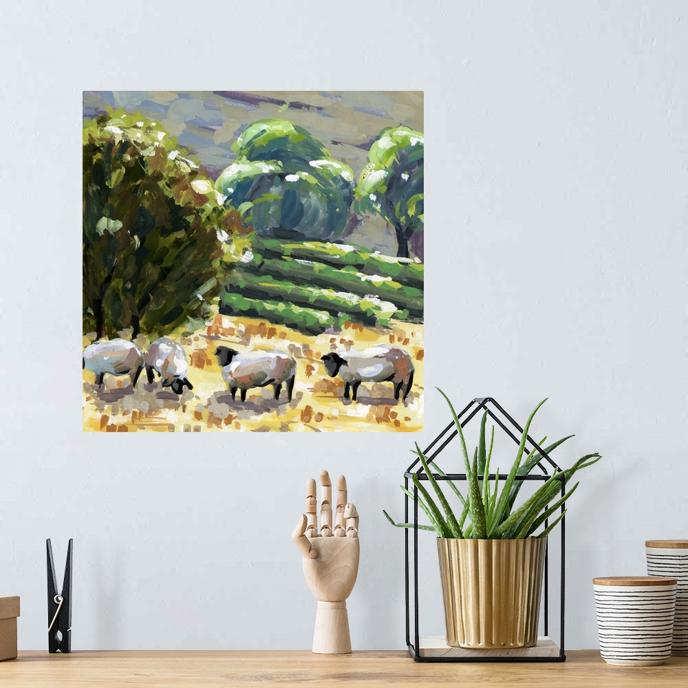 A bohemian room featuring Sheep In Summer I