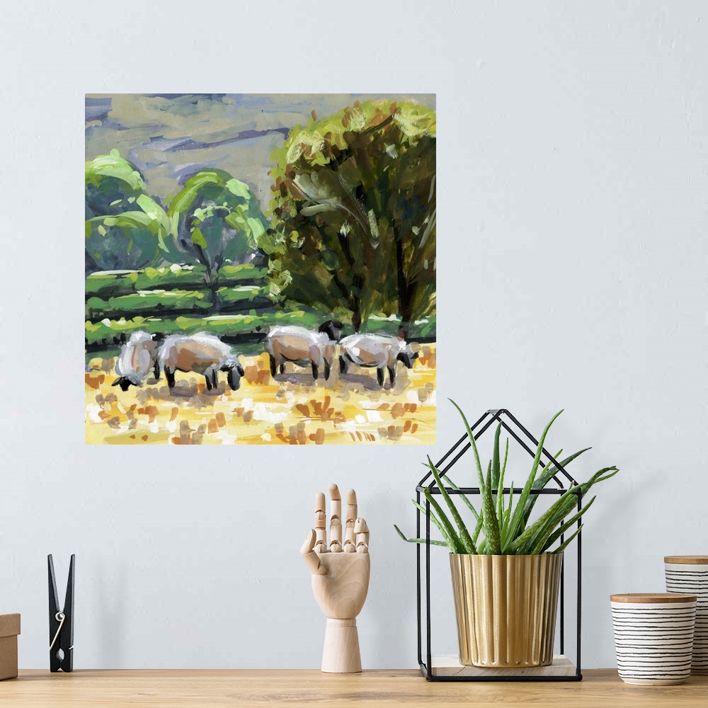 A bohemian room featuring Sheep In Summer II