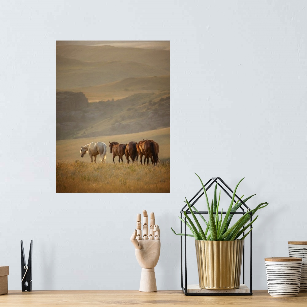 A bohemian room featuring Sunkissed Horses VI