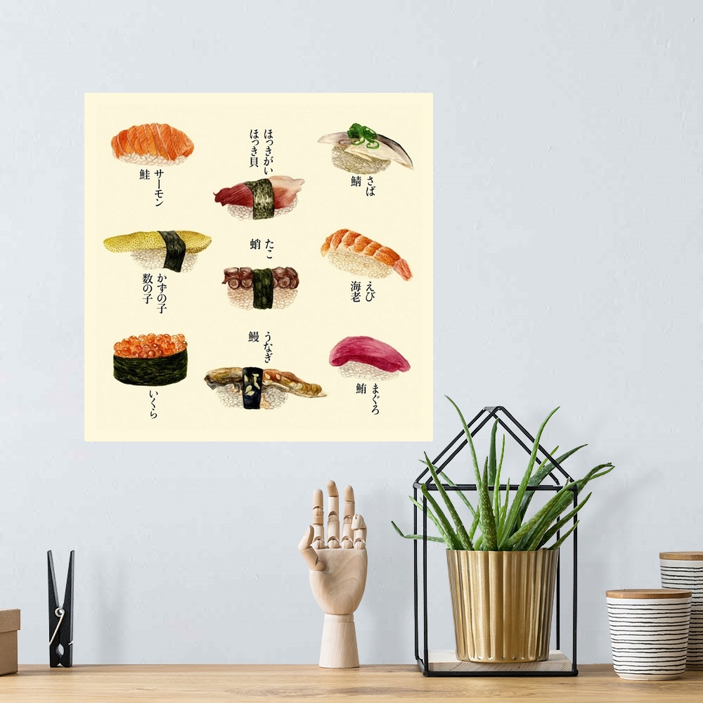 A bohemian room featuring An variety of sushi rolls with Japanese text with different fish, eel, and roe.